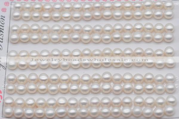 FWP454 half-drilled 5-5.5mm bread freshwater pearl beads