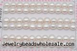 FWP460 half-drilled 8-8.5mm bread freshwater pearl beads