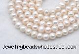 FWP482 14 inches 7mm - 8mm potato white freshwater pearl strands