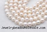 FWP484 14.5 inches 9mm - 10mm potato white freshwater pearl strands