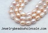 FWP502 14 inches 10mm - 11mm baroque lavender freshwater pearl strands