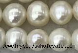 FWP81 15 inches 7mm - 8mm potato white freshwater pearl strands