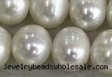 FWP90 15 inches 8mm - 9mm potato white freshwater pearl strands