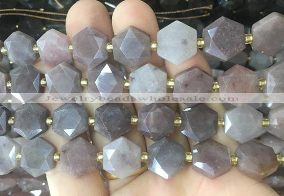 HABS23 15 inches 12mm faceted hexagon purple aventurine beads wholesale