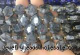 HABS29 15 inches 12mm faceted hexagon black labradorite beads wholesale