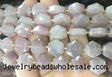 HABS30 15 inches 12mm faceted hexagon moonstone beads wholesale
