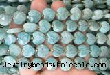 HGBS133 15 inches 12mm faceted heart amazonite beads wholesale