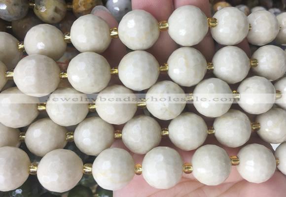 LSBS19 15 inches 16mm faceted round white fossil jasper beads wholesale