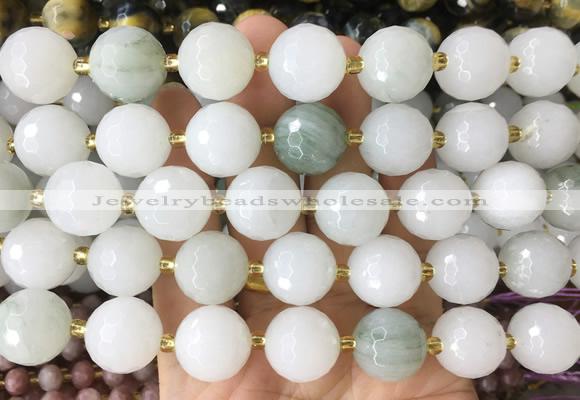 LSBS933 15 inches 16mm faceted round Tianshan jade gemstone beads wholesale