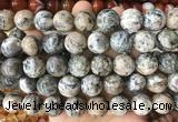 LSBS979 15 inches 16mm round sodalite gemstone beads wholesale