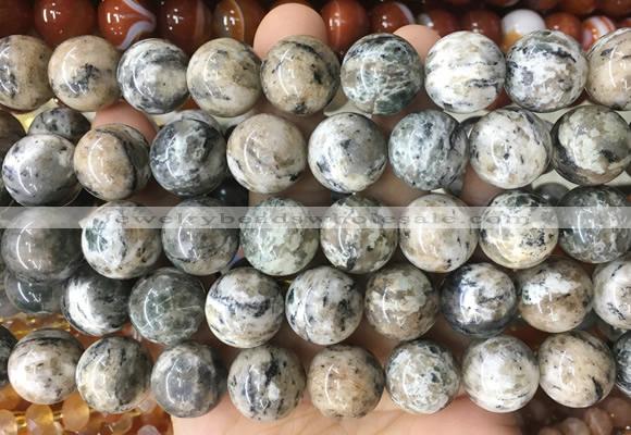 LSBS979 15 inches 16mm round sodalite gemstone beads wholesale