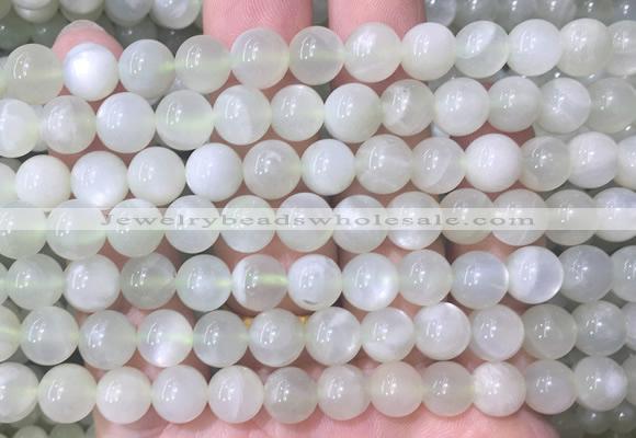 MSBS32 15 inches 8mm round green moonstone gemstone beads wholesale