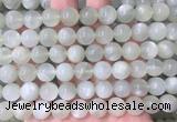 MSBS33 15 inches 10mm round green moonstone gemstone beads wholesale