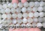 MSBS34 15 inches 12mm round green moonstone gemstone beads wholesale
