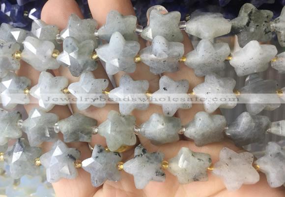 RGBS67 15 inches 14mm faceted star labradorite beads wholesale
