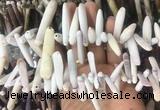 TDBS02 Top drilled 6*20mm - 8*55mm sticks sea urchin shell beads wholesale