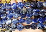 TWBS71 15 inches 16mm twist coin sodalite beads wholesale